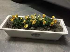 f:id:naru443:20150209194849j:plain