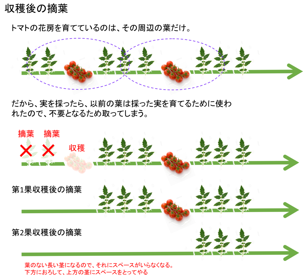f:id:naru443:20200603092745p:plain