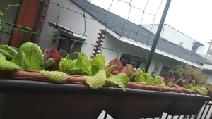 f:id:naru443:20200619112014j:plain