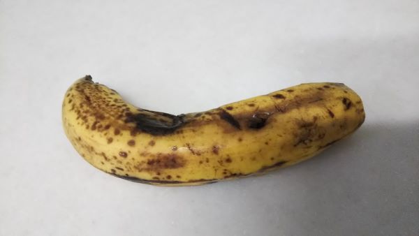 f:id:naru443:20200812114904j:plain