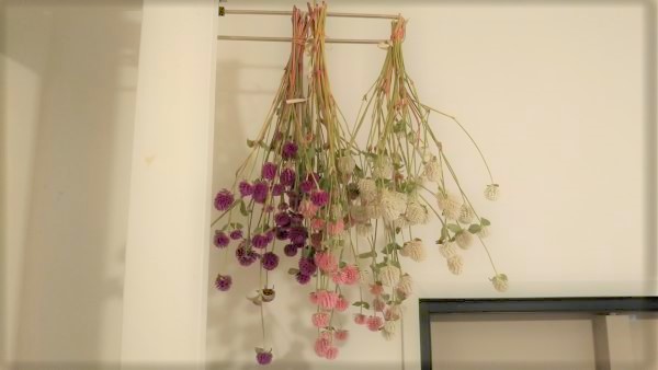 f:id:naru443:20200920145830j:plain