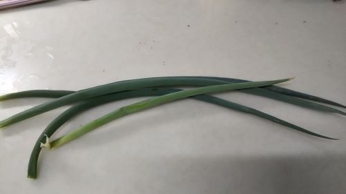 f:id:naru443:20201018210604j:plain