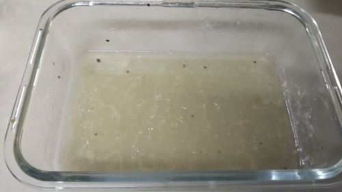 f:id:naru443:20201018213158j:plain