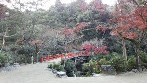 f:id:naru443:20201211082224j:plain