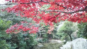 f:id:naru443:20201211082349j:plain