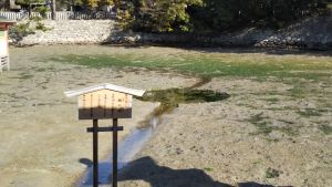 f:id:naru443:20201211121738j:plain