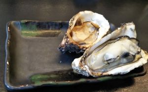 f:id:naru443:20201211123416j:plain