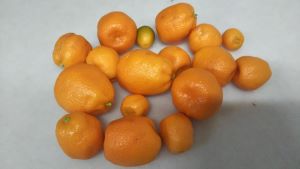 f:id:naru443:20201230222528j:plain