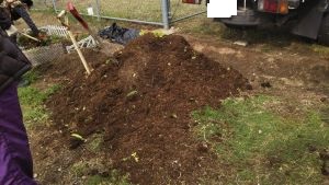 f:id:naru443:20210309092557j:plain