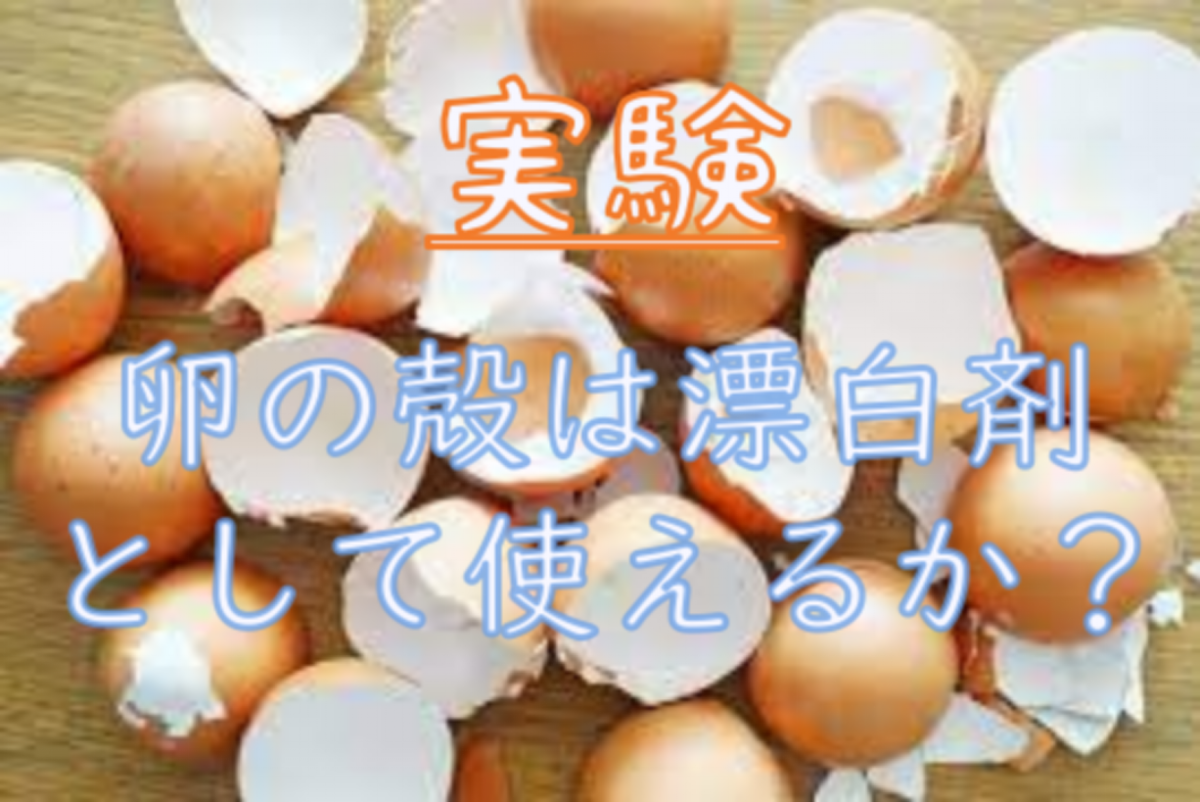 卵の殻は漂白剤になるのか実験してみました よしまる 卵の殻は漂白剤になるのか実験してみました よしまる