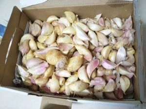 f:id:naru443:20210603140402j:plain