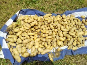 f:id:naru443:20210606103014j:plain