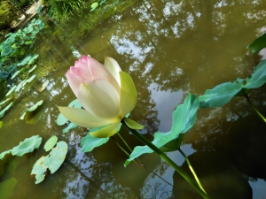 f:id:naru443:20210811112516j:plain