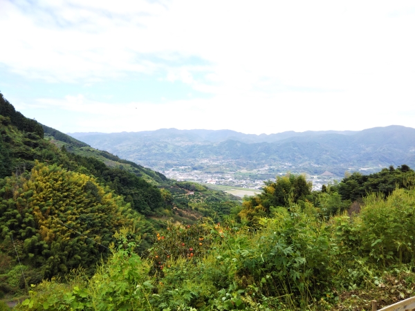 f:id:naru443:20210919111312j:plain