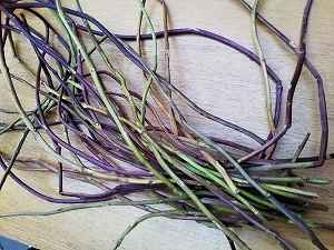 f:id:naru443:20211011232957j:plain