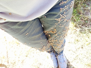 f:id:naru443:20211108220258j:plain