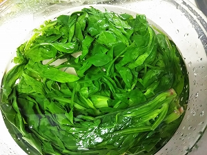 f:id:naru443:20211108221127j:plain