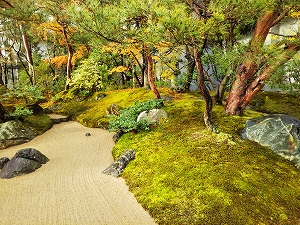 f:id:naru443:20211209233231j:plain