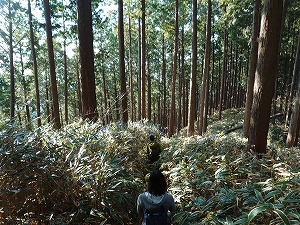 f:id:naru443:20211221140721j:plain