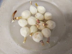 f:id:naru443:20220102140103j:plain