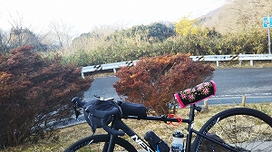 f:id:naru443:20220115201927j:plain