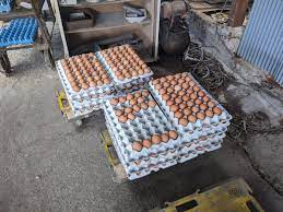 f:id:naru443:20220117013219p:plain