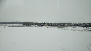 f:id:naru443:20220126231600j:plain