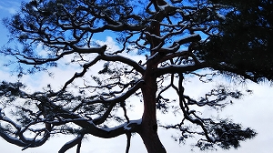 f:id:naru443:20220127005550j:plain