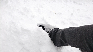 f:id:naru443:20220127005724j:plain