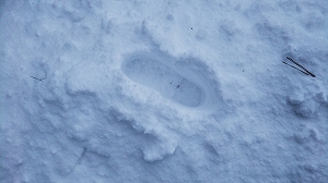 f:id:naru443:20220127005736j:plain