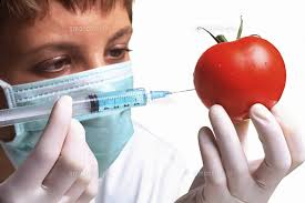 f:id:naru443:20220204031100p:plain