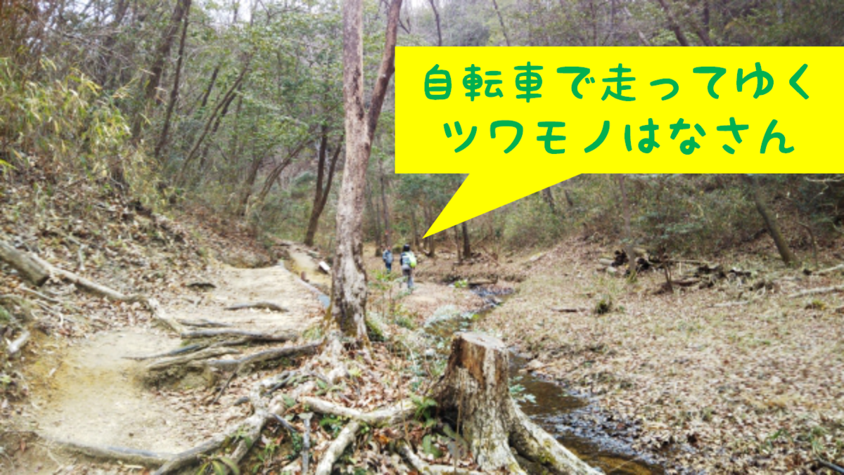 f:id:naru443:20220314012908p:plain