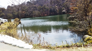 f:id:naru443:20220314020403j:plain