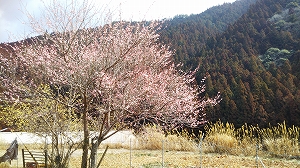 f:id:naru443:20220314233811j:plain