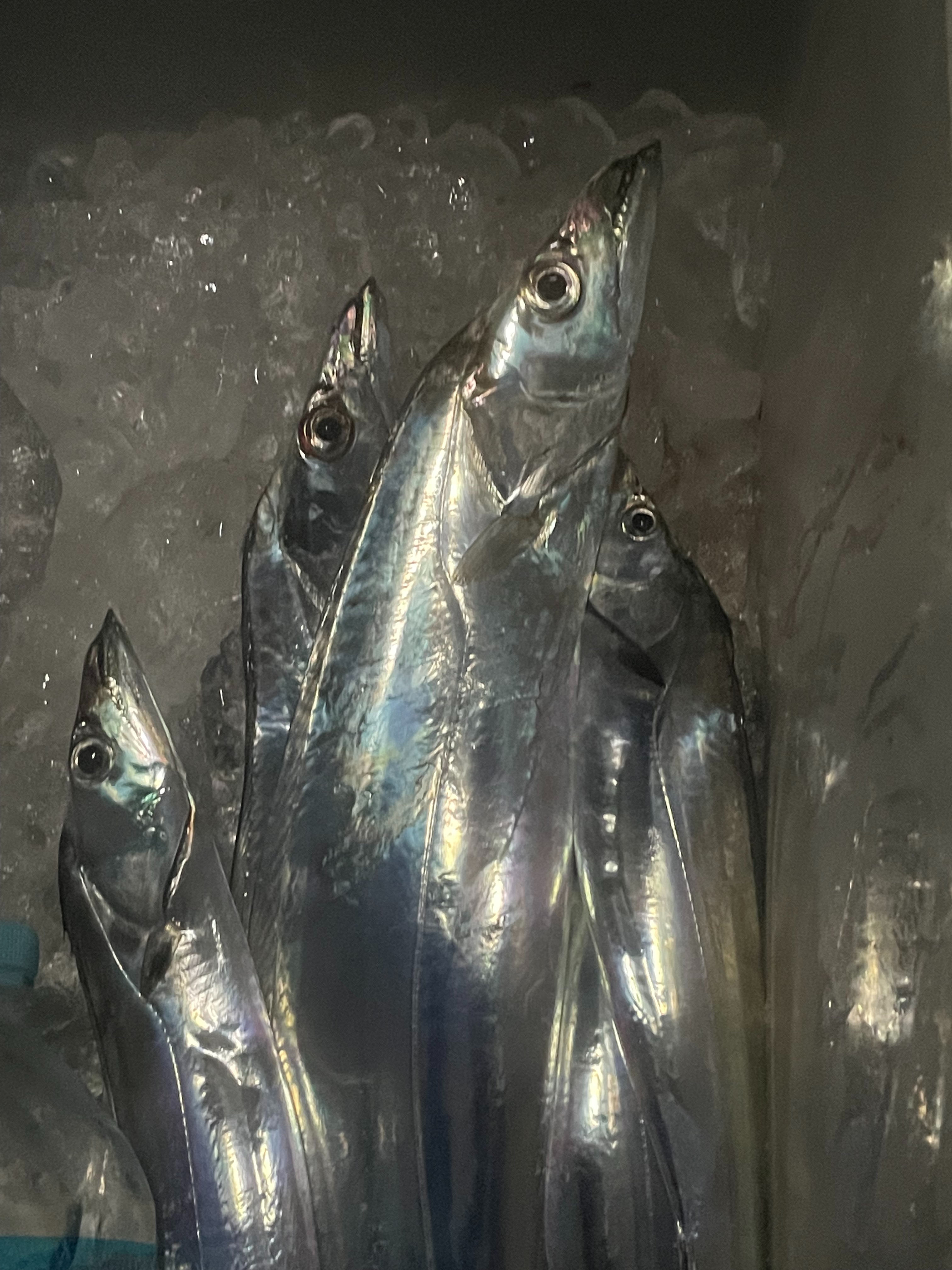 f:id:narufish2692:20220709074921j:image f:id:narufish2692:20220709074921j:image