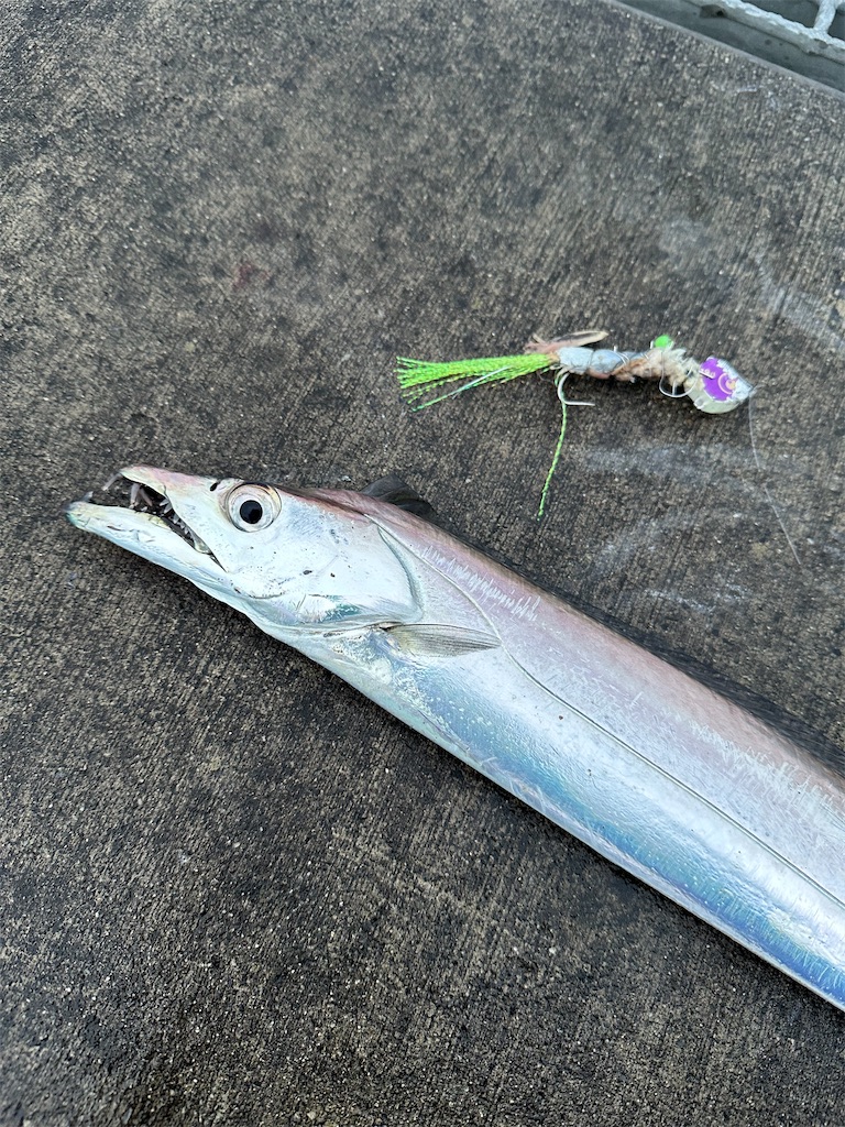 f:id:narufish2692:20230526204520j:image f:id:narufish2692:20230526204520j:image