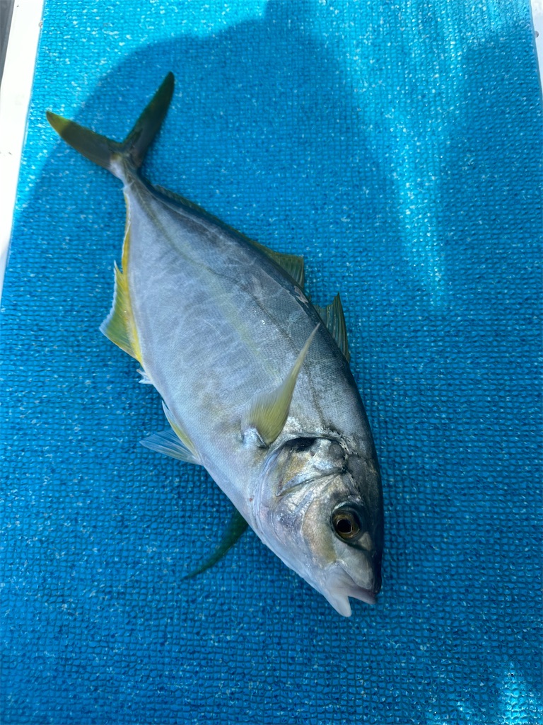 f:id:narufish2692:20230526211109j:image f:id:narufish2692:20230526211109j:image
