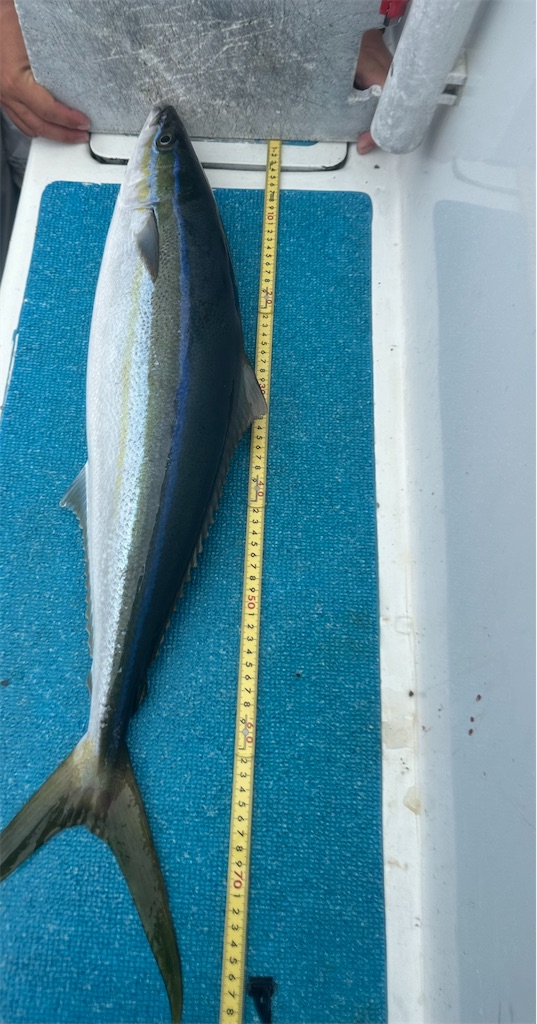f:id:narufish2692:20230527213702j:image f:id:narufish2692:20230527213702j:image
