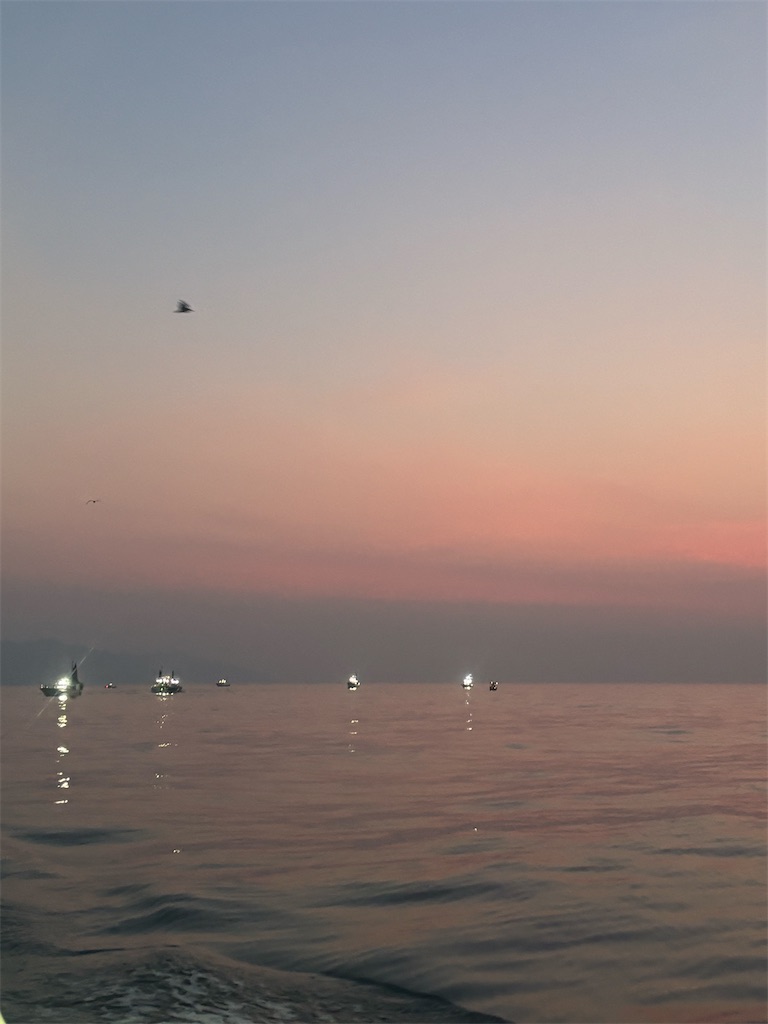 f:id:narufish2692:20250824194857j:image f:id:narufish2692:20250824194857j:image