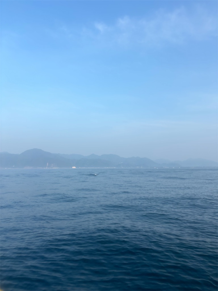 f:id:narufish2692:20250824194908j:image f:id:narufish2692:20250824194908j:image