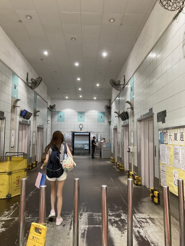 f:id:narufj:20211124102234j:plain