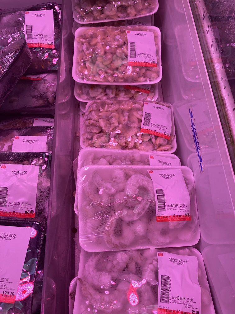 f:id:narufj:20220127195152j:plain