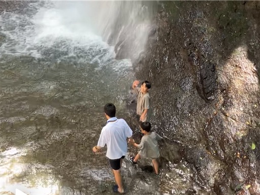 f:id:naruhome:20250721221906j:image