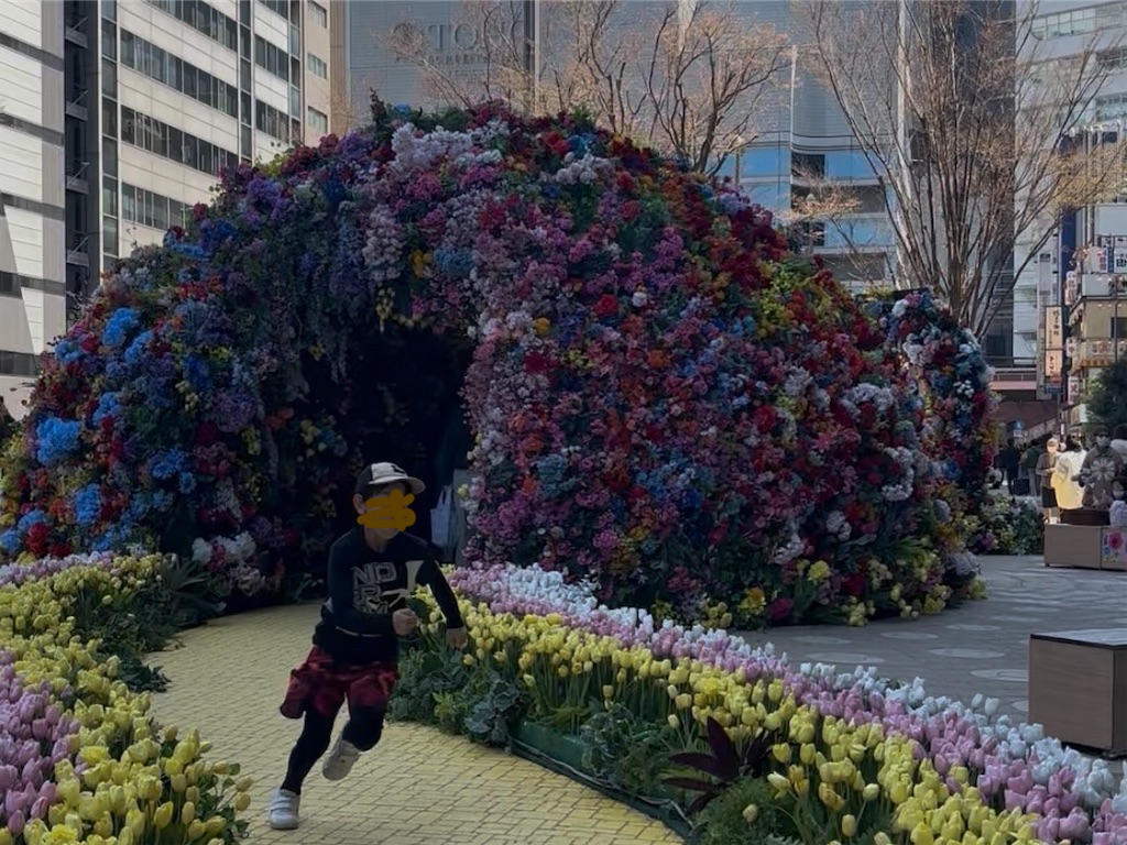 f:id:naruhome:20260324161220j:image