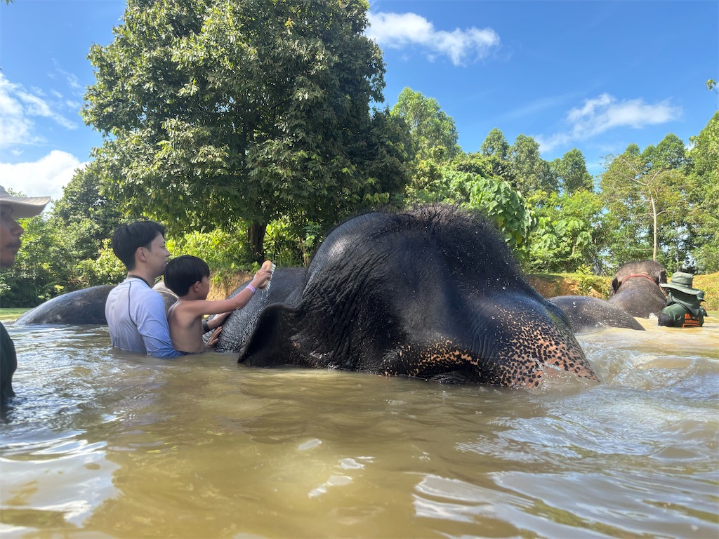プーケットで子連れゾウ体験!Elephant Jungle Sanctuaryで自然な触れ合い - naruhome