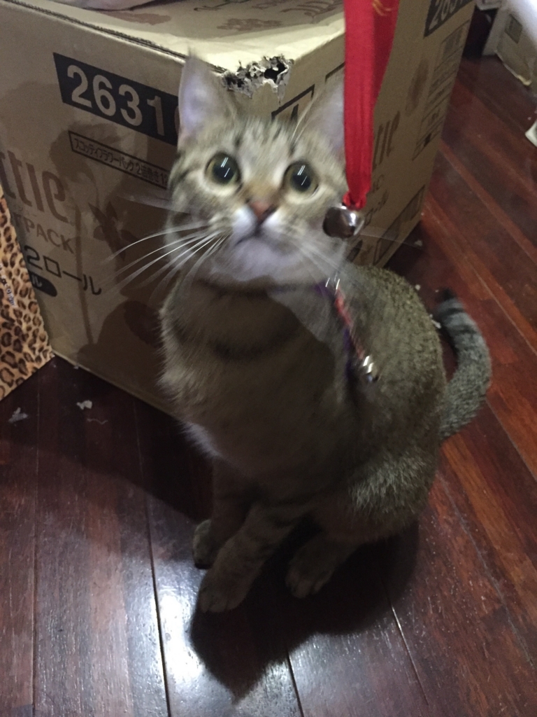 f:id:naruki_h:20160401180238j:plain