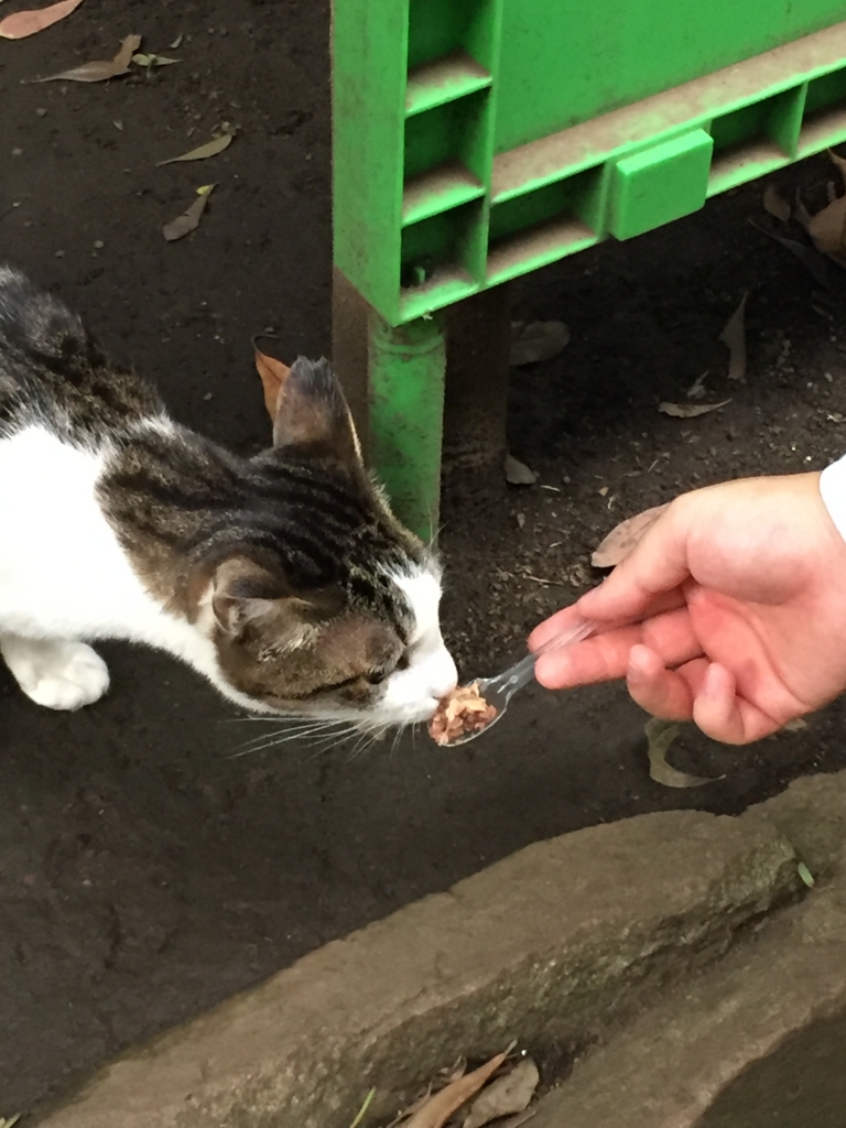 f:id:naruki_h:20160701064649j:plain