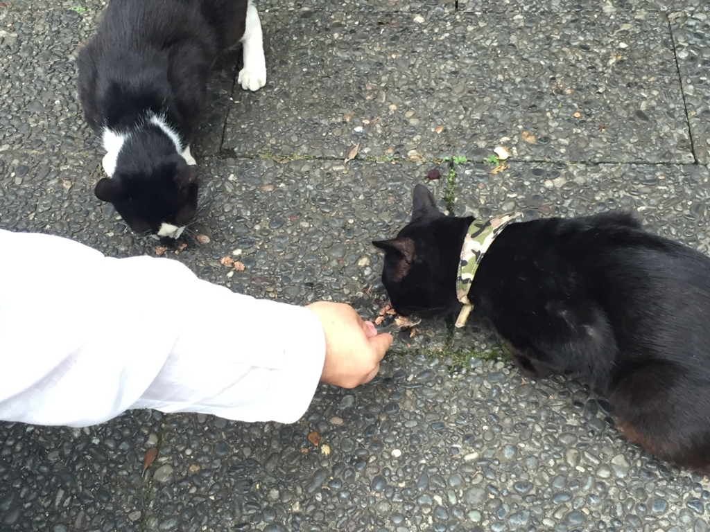 f:id:naruki_h:20160701064706j:plain