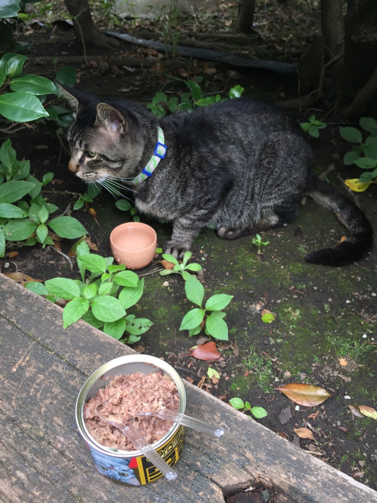 f:id:naruki_h:20160701065045j:plain