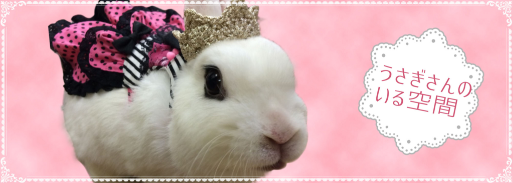 f:id:naruki_h:20160707092420j:plain